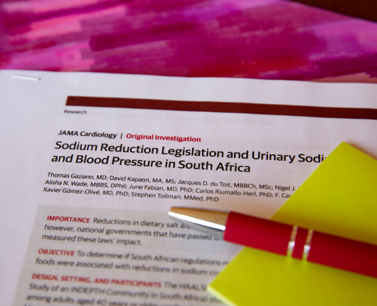 "Sodium Reduction Legislation and Urinary Sodium and Blood Pressure in South Africa"